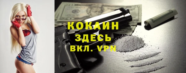 мяу мяу мука Алексеевка