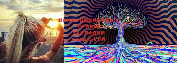 мяу мяу мука Алексеевка