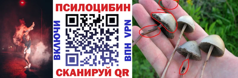 Галлюциногенные грибы мухоморы сколько стоит гидра онион Баймак
